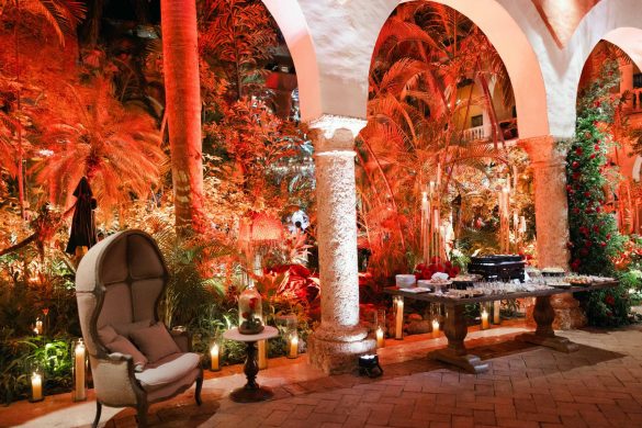 mice-oferta-exclusiva